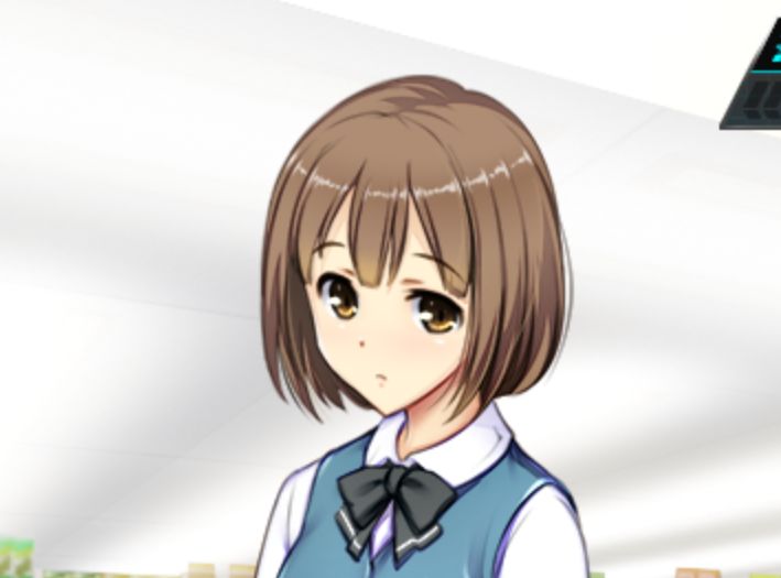 《便利店少女Z：万引无双》下载 PC+安卓+全CG存档